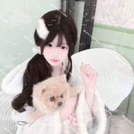 nv心沁