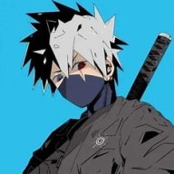 270593523