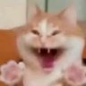 linlinhcom